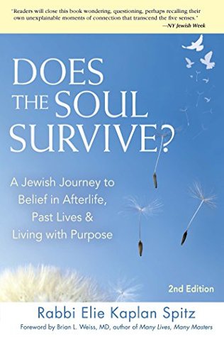 Read online Does the Soul Survive? 2/E: A Jewish Journey to Belief in Afterlife, Past Lives & Living with Purpose - Elie Kaplan Spitz | PDF