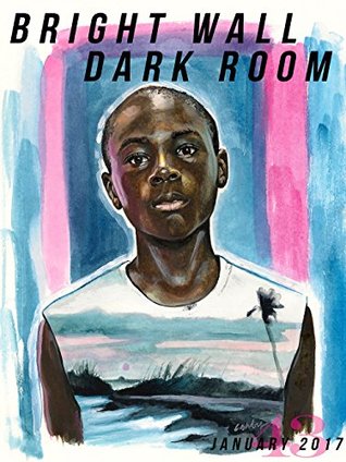 Download Bright Wall/Dark Room Issue 43: Best of 2016: January 2017 (Bright Wall/Dark Room Magazine) - Chad Perman | ePub
