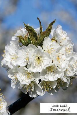 Read online Dot Grid Journal.: (Diary, Notebook) Glossy & Soft Cover, Bullet Grid Journal, Notebook Dotted Grid, 100 Dot Grid Pages, Size 6 X 9 - NOT A BOOK file in PDF