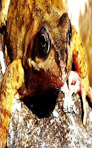 Read online accompanies immovable did on with was him seem entró no Todavía ahí cueva abrir observaban lágrimas removía - Michael Caitlin | ePub