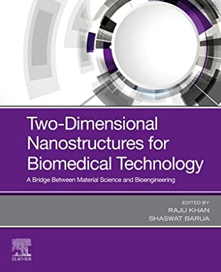 Read Two-Dimensional Nanostructures for Biomedical Technology: A Bridge between Material Science and Bioengineering - Raju Khan | ePub